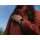 Huawei Watch D3 czarny - 1595485 - zdjęcie 9